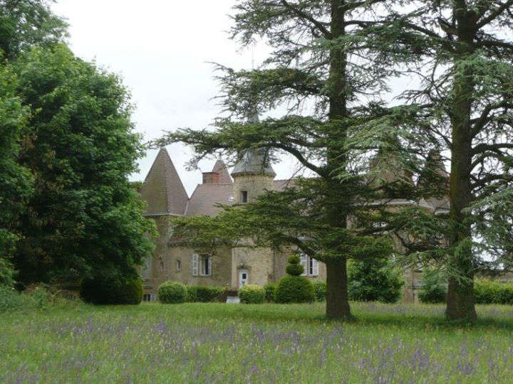 Château de Vaulx Image