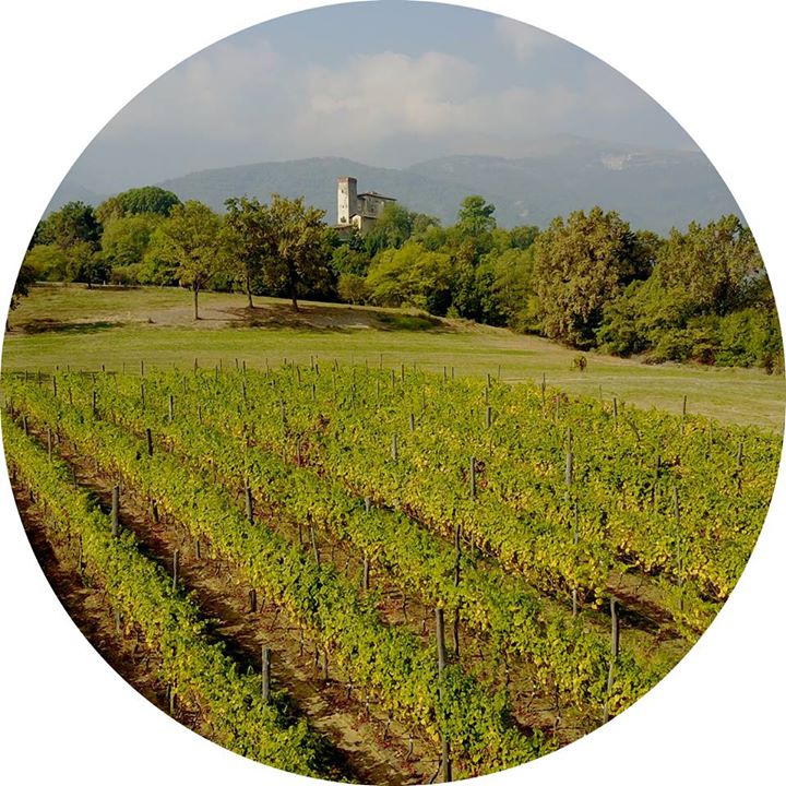 Castello di Bagnolo Image