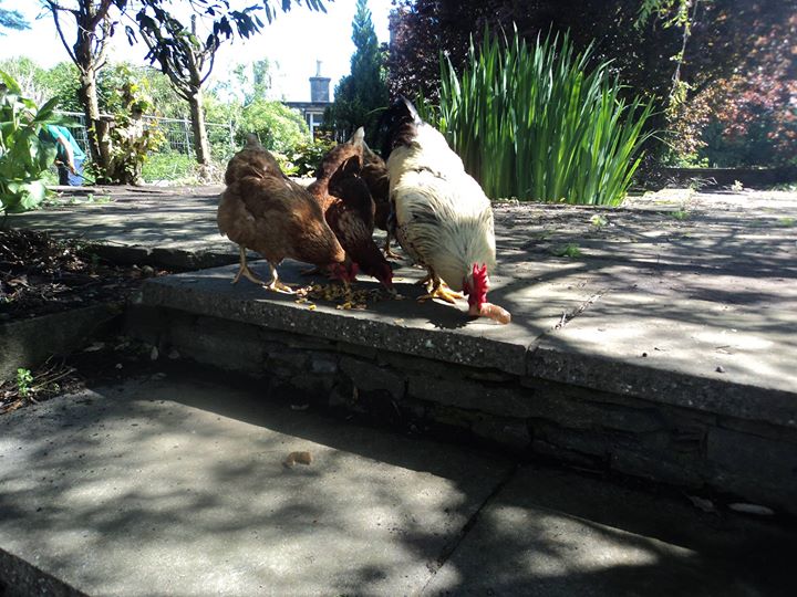 The School House Accommodation,  Bed & Breakfast Image