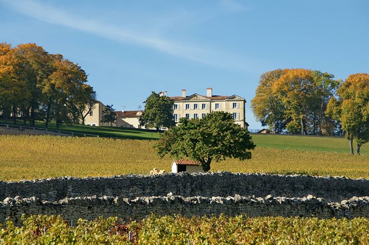 Château de Lachassagne Image