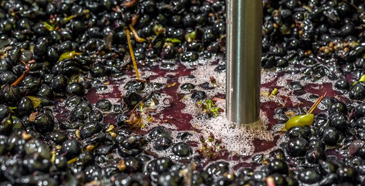 Chateau Balsamine Image