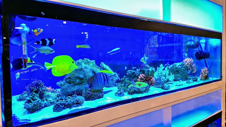 Aquarium Centrofama Image
