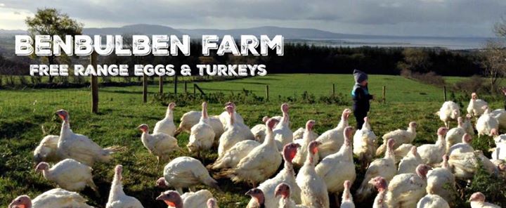 Benbulben Farm Image