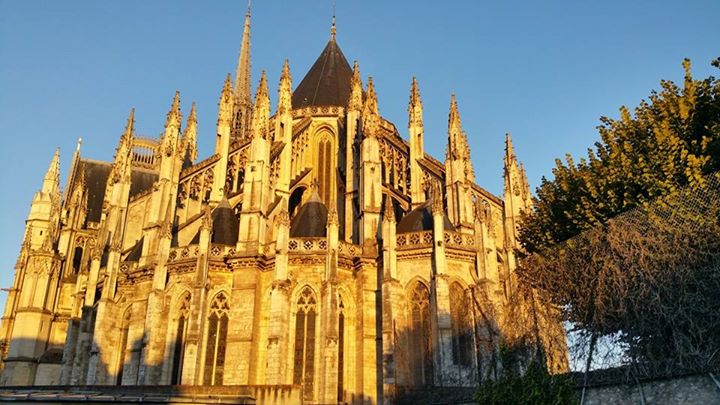 Cathédrale Sainte-Croix d'Orléans Image