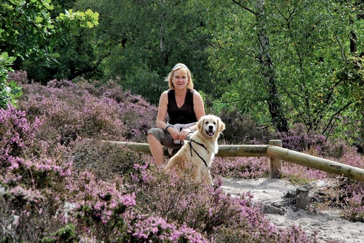 Au Fou du Roy  - Table & Chambres d'Hôtes de Charme Image