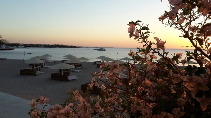 Menaville Resort - Safaga - Red Sea Image
