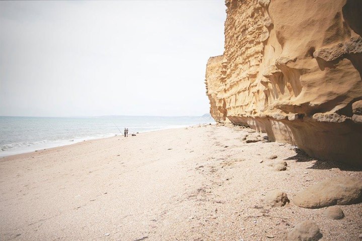 Hive Beach Cafe Image