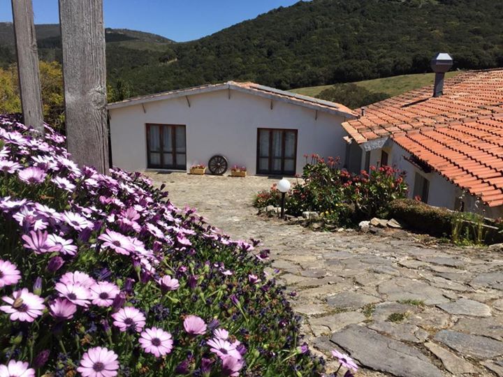 Agriturismo Vintura Image