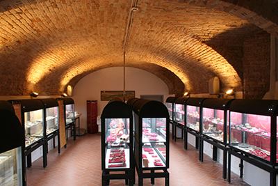 Museo Archeologico della Val Tidone Image