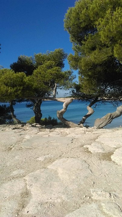 Camping marius  La Couronne Image