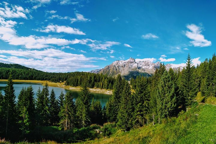 Rifugio Lago Palù Image