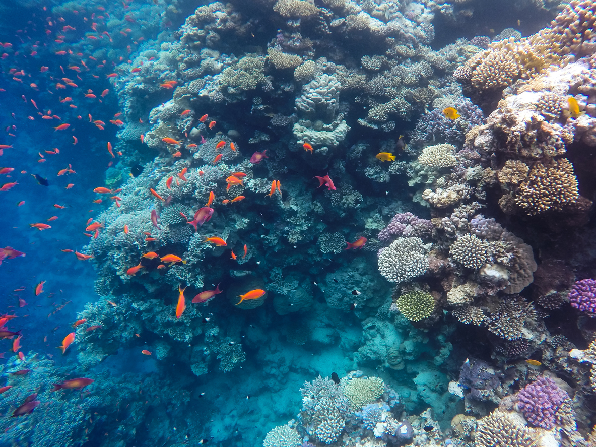 Blue Hole Image