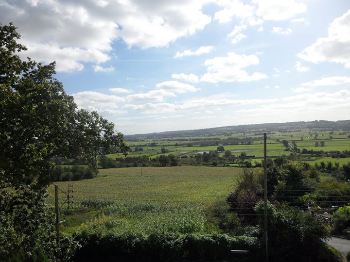 Little Orchard Bed and Breakfast Image
