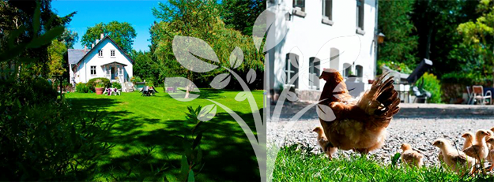 Skelstrup Bed and Breakfast Image