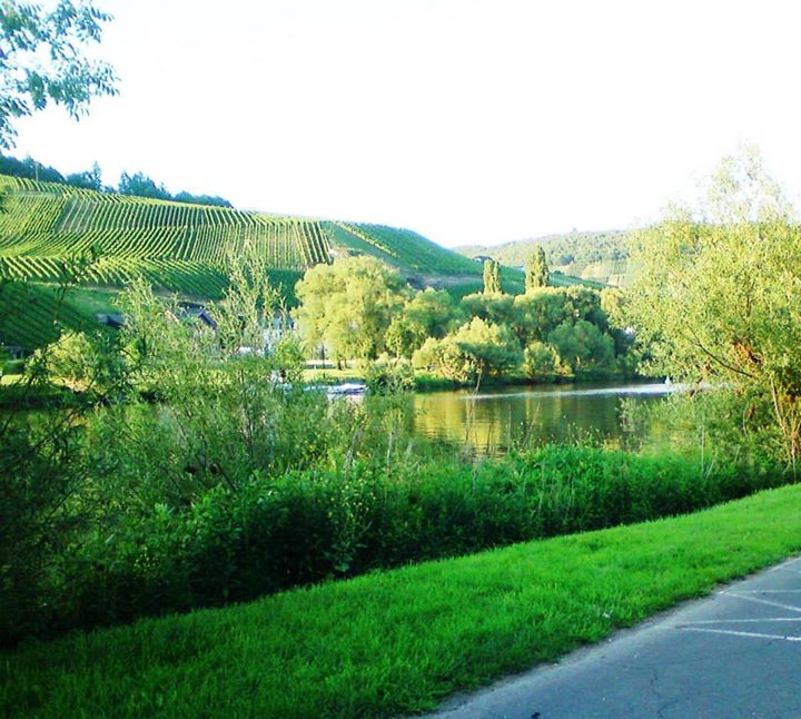 Das Bärenhaus 4 Star Bed&Breakfast  Guesthouse Image