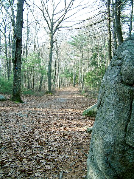 Gilbert Trail, Kasauli, India Image