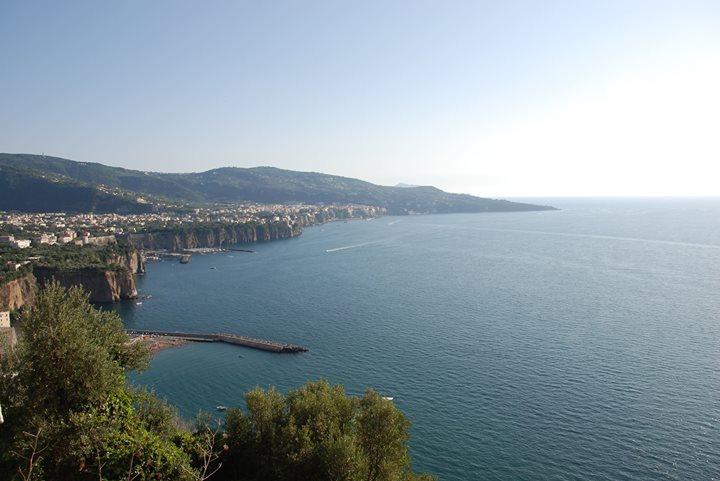 Bed and Breakfast Sunflower Image