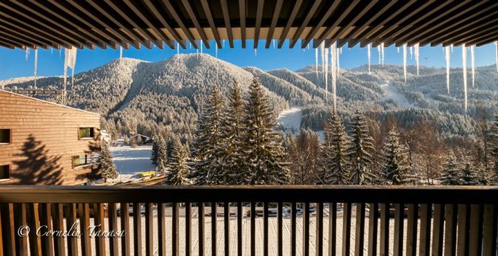 Alpin Poiana Brasov Image