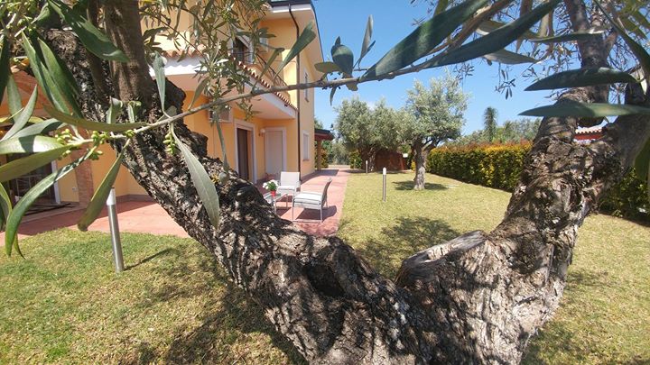 Bed & Breakfast Villa Aurelio Image