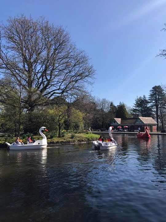 Aberdare Park Boats & Cafe Image