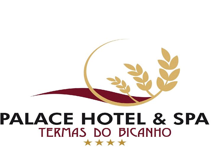 Palace Hotel & SPA Termas do Bicanho Image