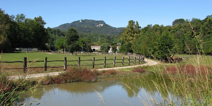 Azienda Agricola Nicolini, Agriturismo Image