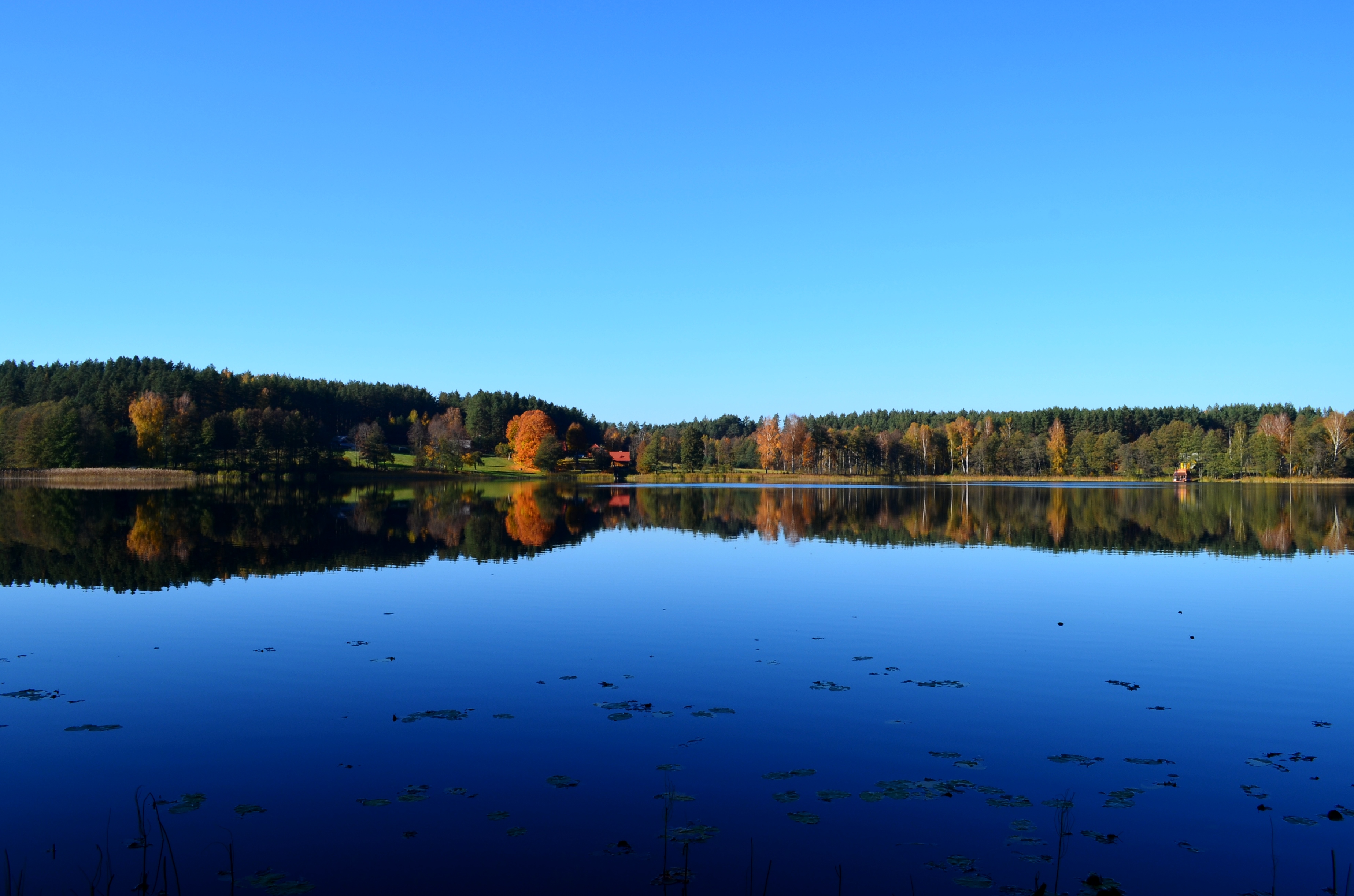 Aisetas Lake, Molėtai Image