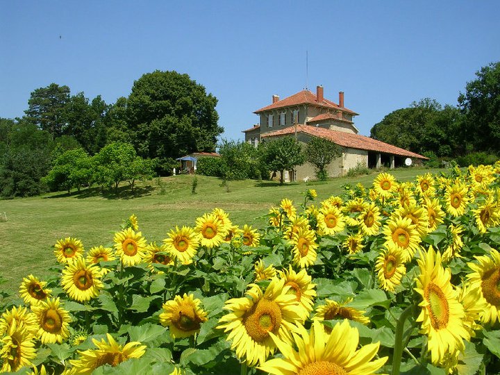 Château de Lahitte Chambres d'Hôtes Image