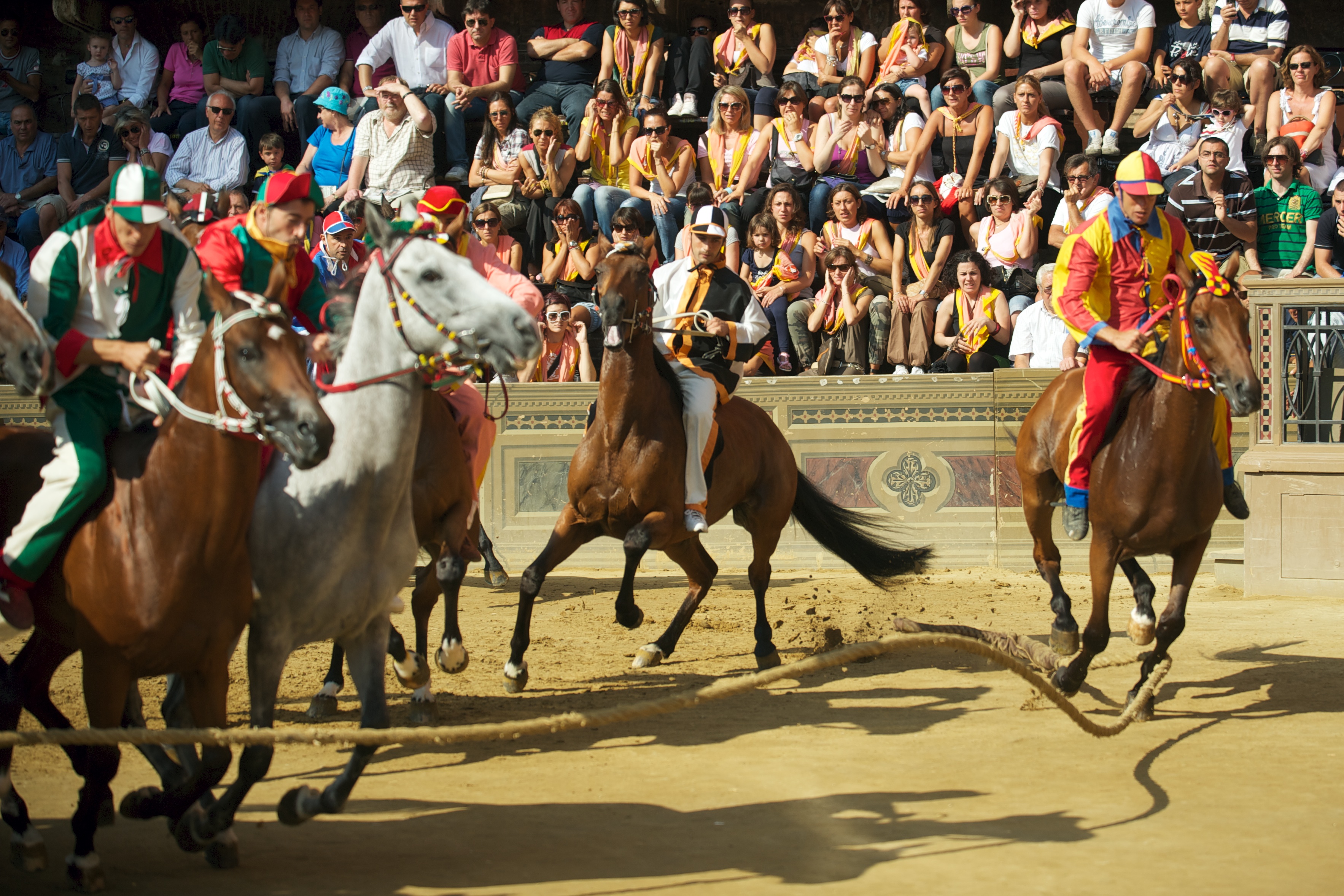 The Palio di Siena Image