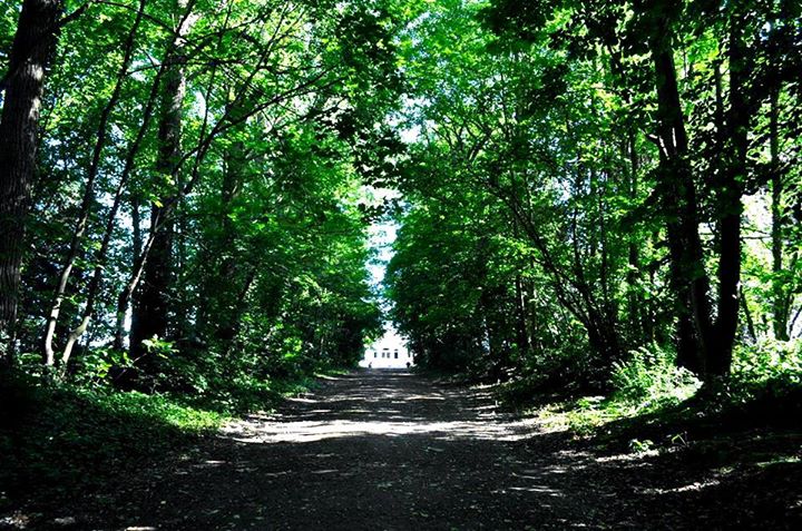 L Ermitage du bois joli Image