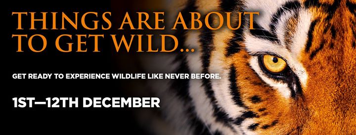 Aspers Casino Westfield Stratford City Image