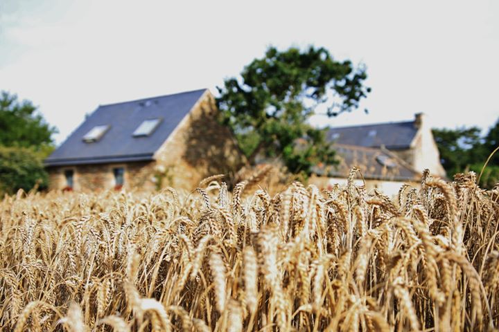 Domaine de Keryel Image