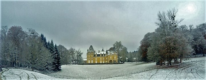 Chateau Du Repaire Vigeois Image