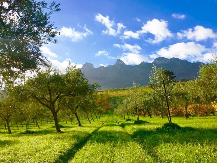 CasaPuccio Bed&Breakfast Art&ReDesign Image