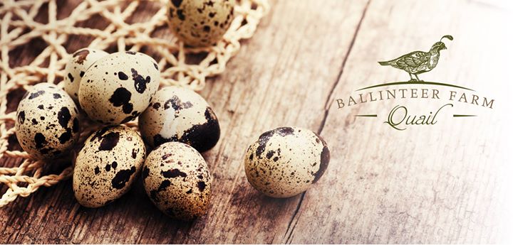 Ballinteer Farm Quail Image
