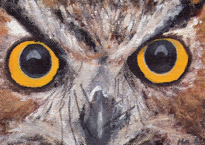 Tyto Alba Bed & Breakfast Image