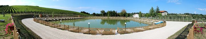 Il Grappolo Image