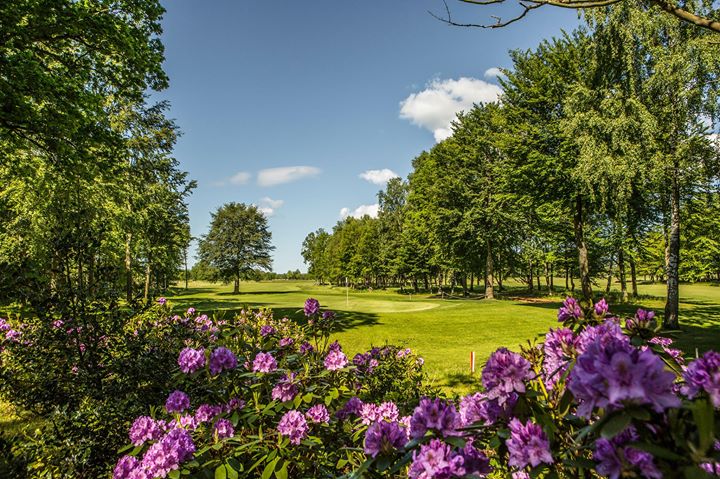 Allerum Golfklubb Image