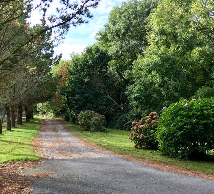 Greenacres Short- Golf,  St. Erth, Hayle Image
