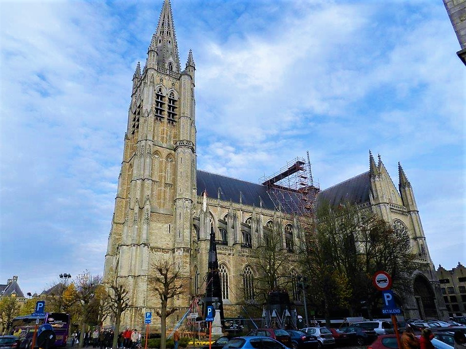Saint Martin's cathedral Ypres Image