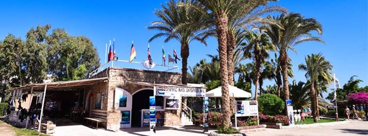 IDive Makadi Bay Image