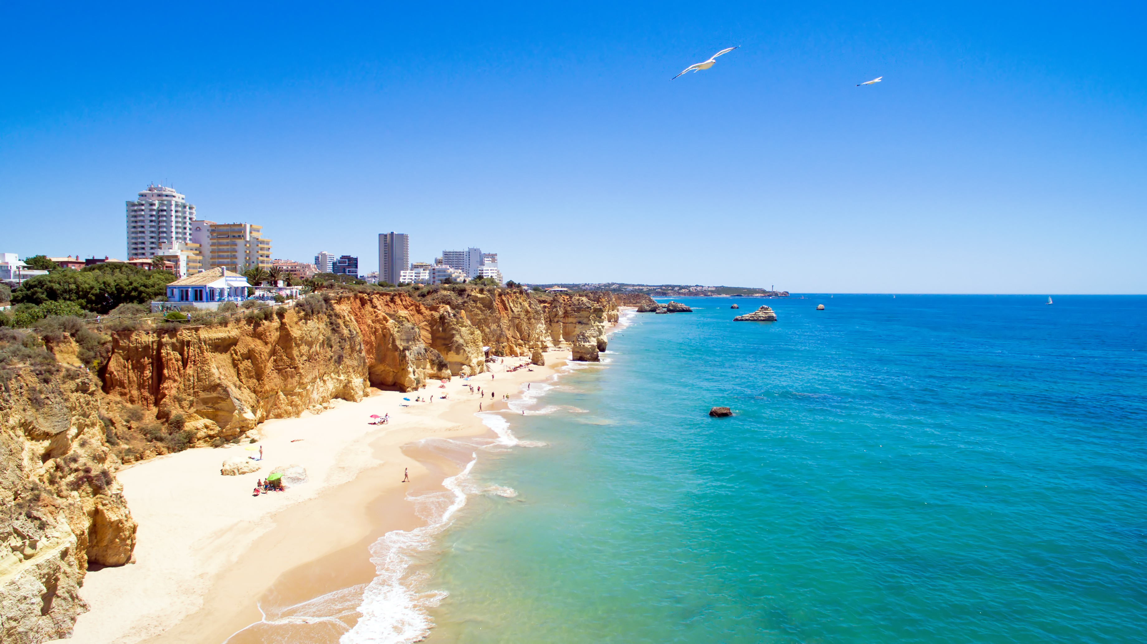 Praia da Rocha Image