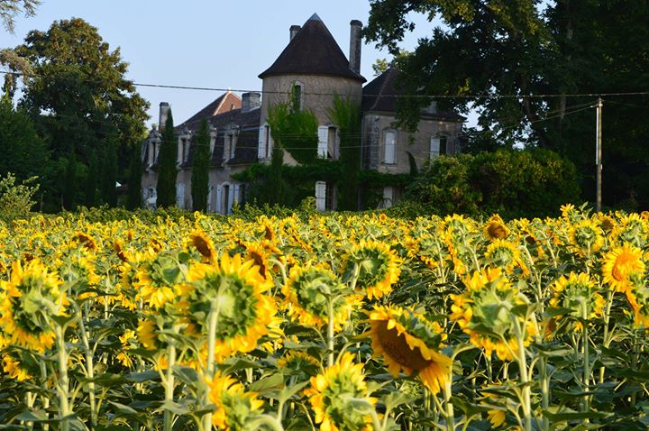 Chateau Des Etoiles Image