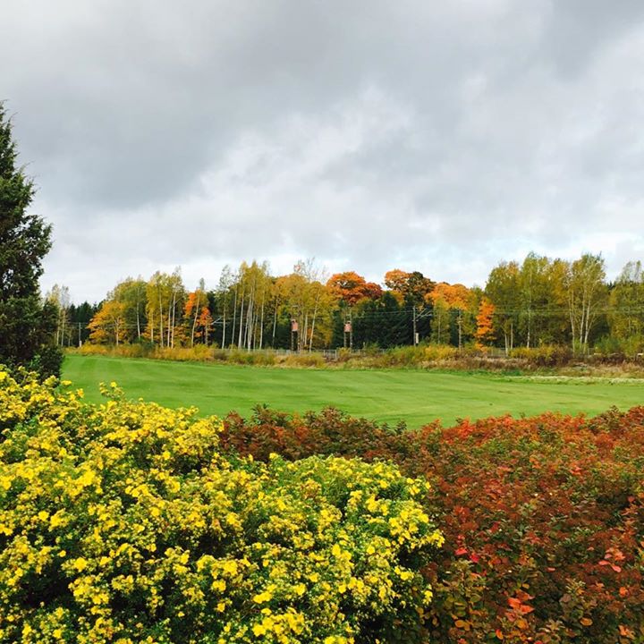 Continental Golf Park Leppävaara Image