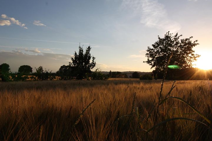 Il Casale di Nonno Guido B&B Image