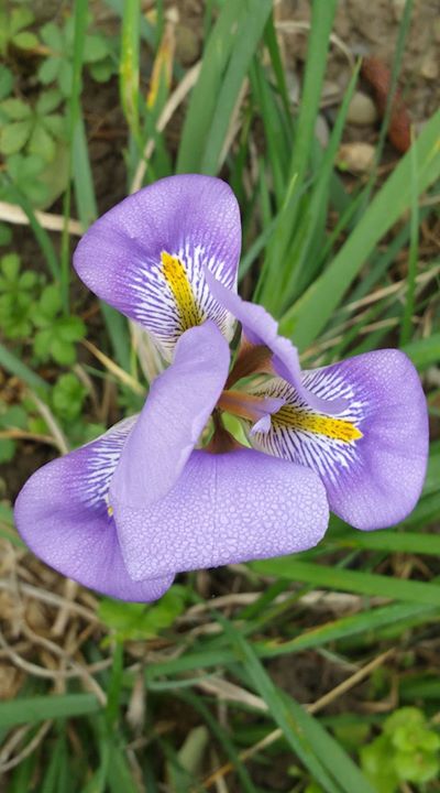 Douce France - B&B - Chambres d'hôtes et Gîtes Image