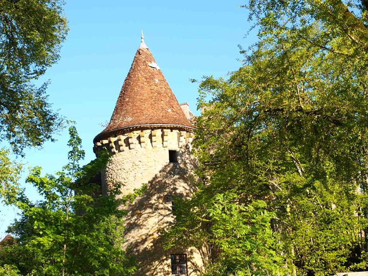 Château Saint Dau Image