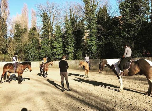 Kingston Riding Centre Image