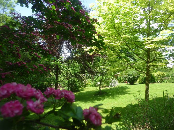 Chambres d'hôtes "villa des Tilleuls" Image