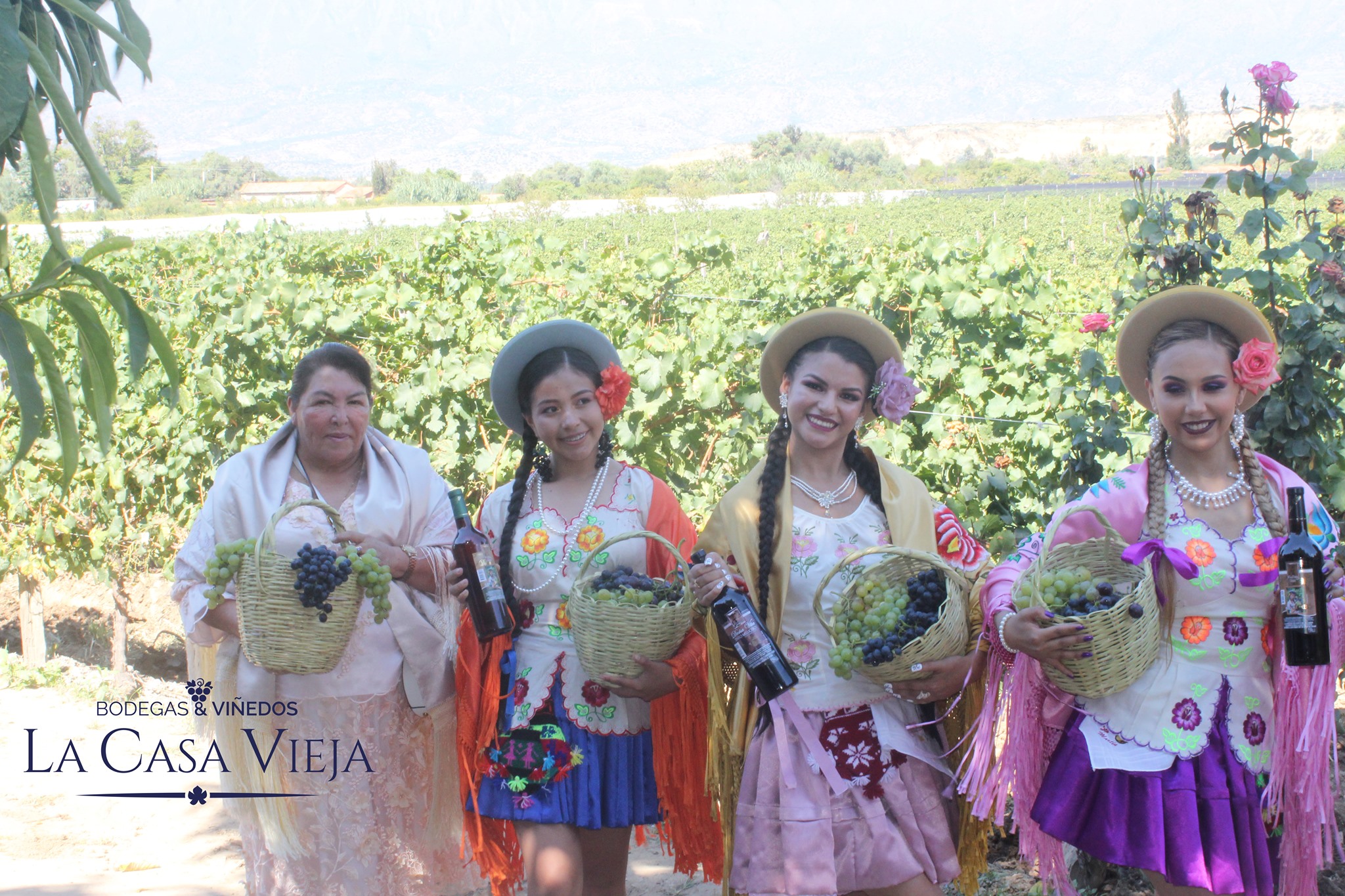 La Vendimia, Tarija Image